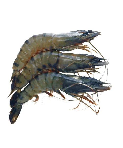 ADRIENNE BLACK TIGER PRAWNS 1KG SIZE 8/12