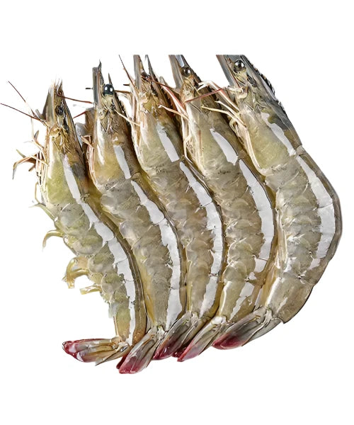 FRESH PRAWNS 2KG SIZE 40/50