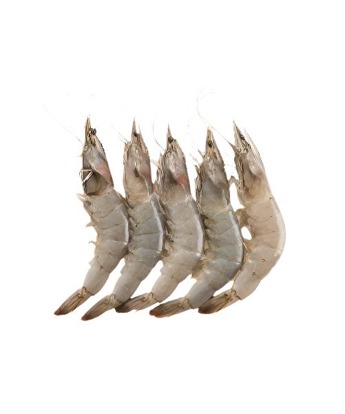 FRESH PRAWNS 2KG SIZE 20 / 30